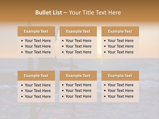 Nature Tropical Traditional PowerPoint Template