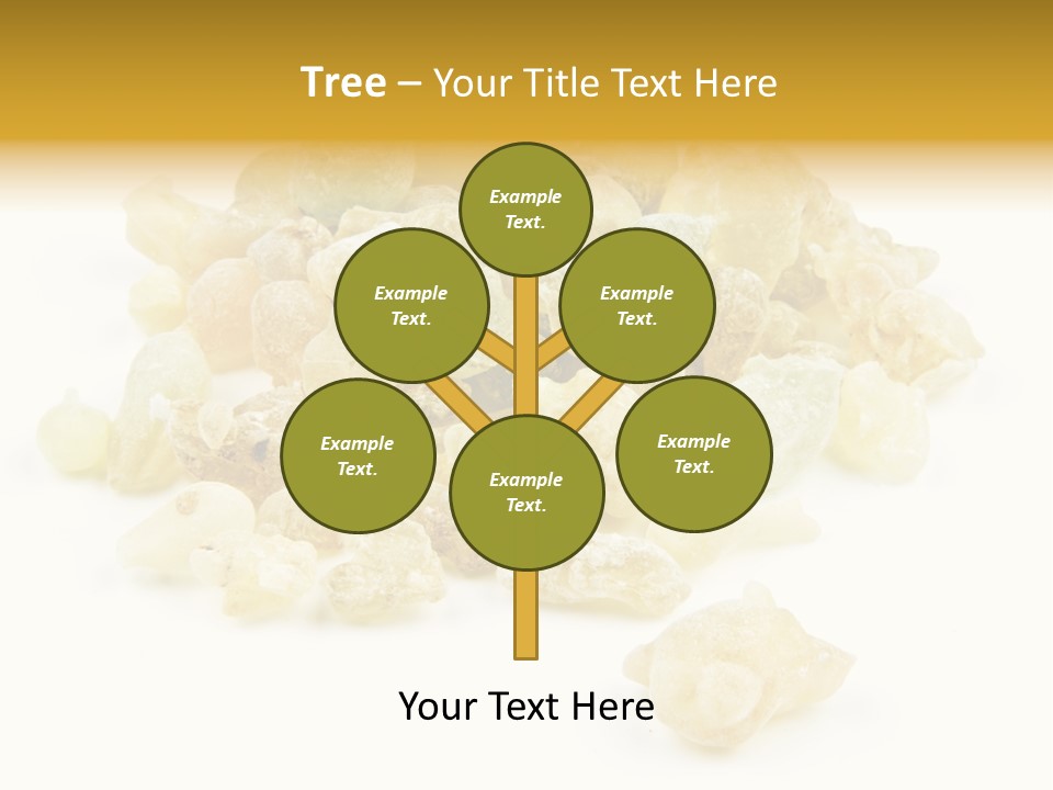 Rheumatic Peas Holy PowerPoint Template