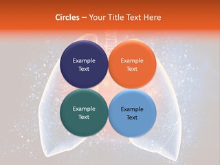 Drawing Biological Trachea PowerPoint Template