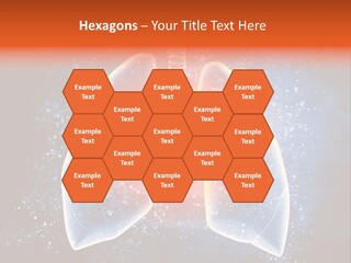 Drawing Biological Trachea PowerPoint Template