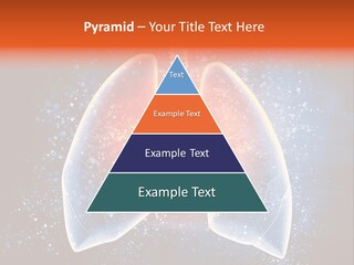 Drawing Biological Trachea PowerPoint Template
