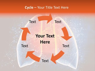 Drawing Biological Trachea PowerPoint Template