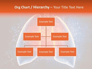 Drawing Biological Trachea PowerPoint Template
