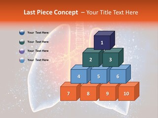 Drawing Biological Trachea PowerPoint Template