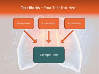 Drawing Biological Trachea PowerPoint Template
