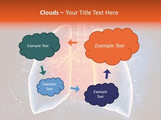 Drawing Biological Trachea PowerPoint Template