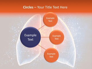 Drawing Biological Trachea PowerPoint Template