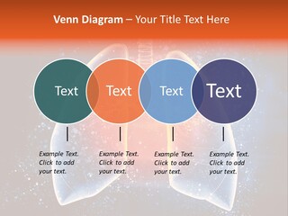 Drawing Biological Trachea PowerPoint Template