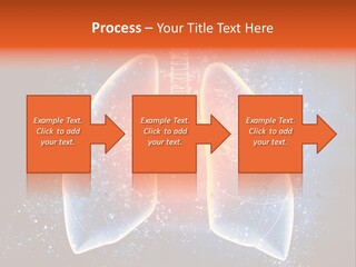 Drawing Biological Trachea PowerPoint Template