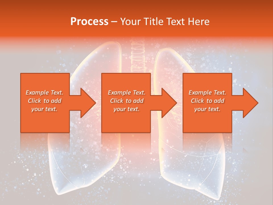Drawing Biological Trachea PowerPoint Template