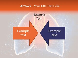 Drawing Biological Trachea PowerPoint Template