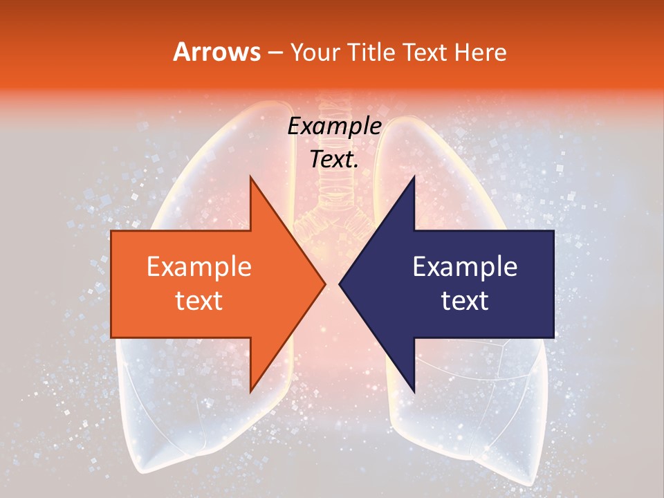 Drawing Biological Trachea PowerPoint Template