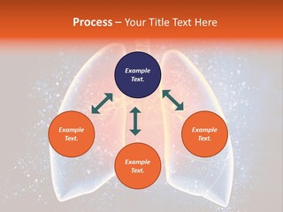 Drawing Biological Trachea PowerPoint Template