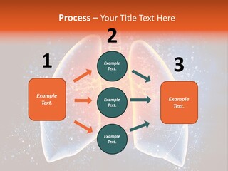 Drawing Biological Trachea PowerPoint Template