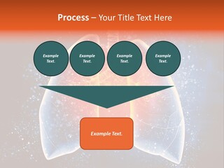 Drawing Biological Trachea PowerPoint Template