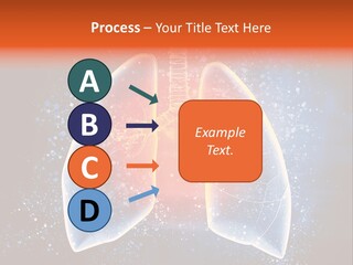 Drawing Biological Trachea PowerPoint Template