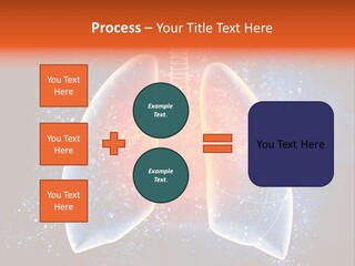 Drawing Biological Trachea PowerPoint Template