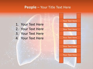 Drawing Biological Trachea PowerPoint Template