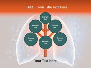 Drawing Biological Trachea PowerPoint Template