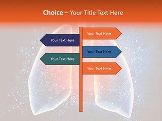 Drawing Biological Trachea PowerPoint Template