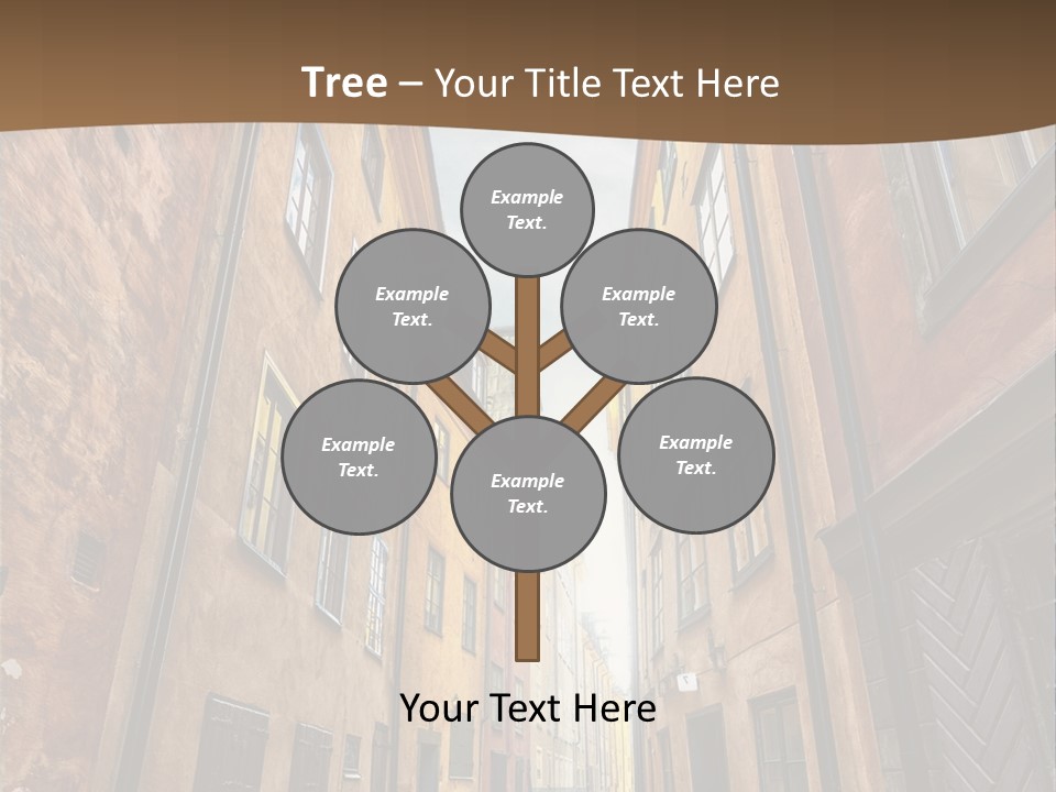 Narrow Perspective Window PowerPoint Template