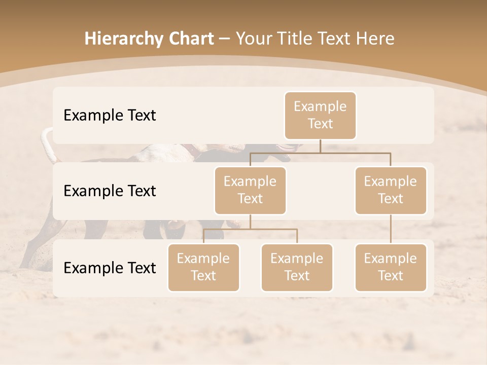 Summer Cloud Old PowerPoint Template