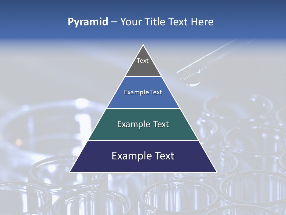 Analyzing Shallow Biology PowerPoint Template