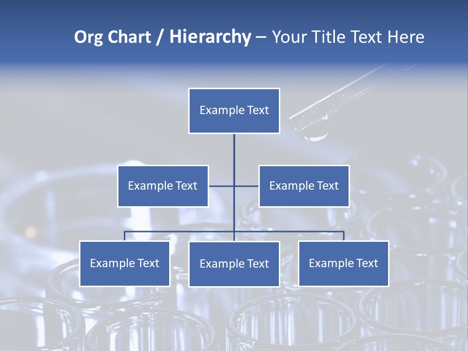 Analyzing Shallow Biology PowerPoint Template