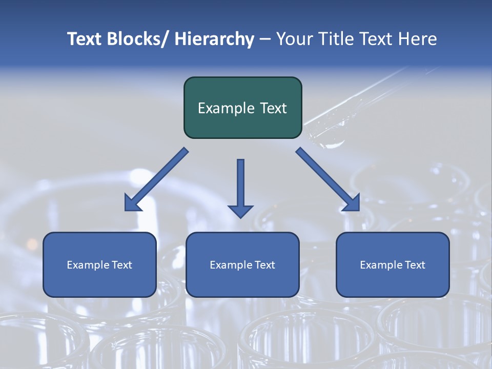 Analyzing Shallow Biology PowerPoint Template