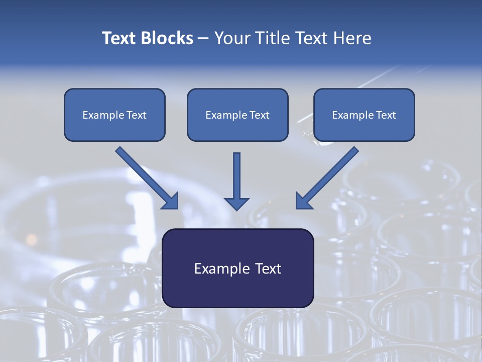Analyzing Shallow Biology PowerPoint Template