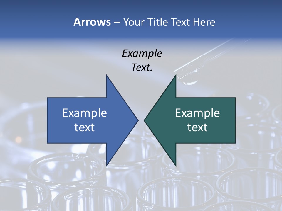 Analyzing Shallow Biology PowerPoint Template