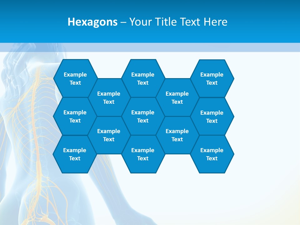 Digital Drawing Woman PowerPoint Template