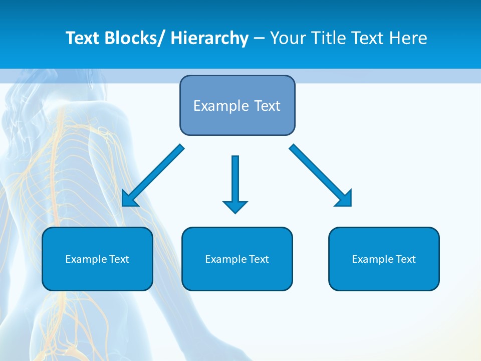Digital Drawing Woman PowerPoint Template