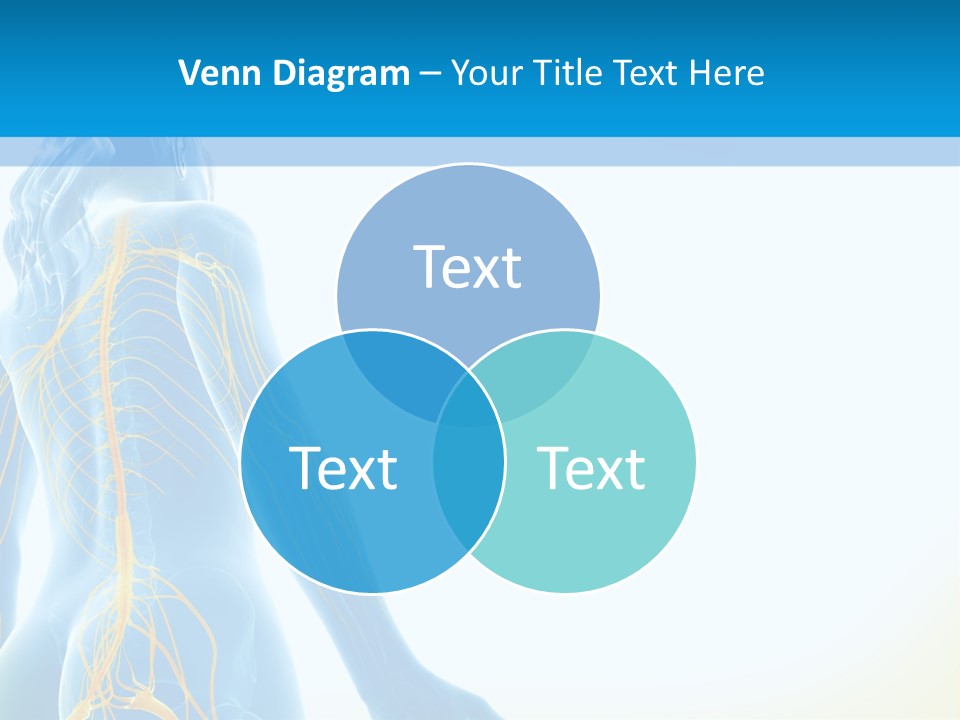 Digital Drawing Woman PowerPoint Template