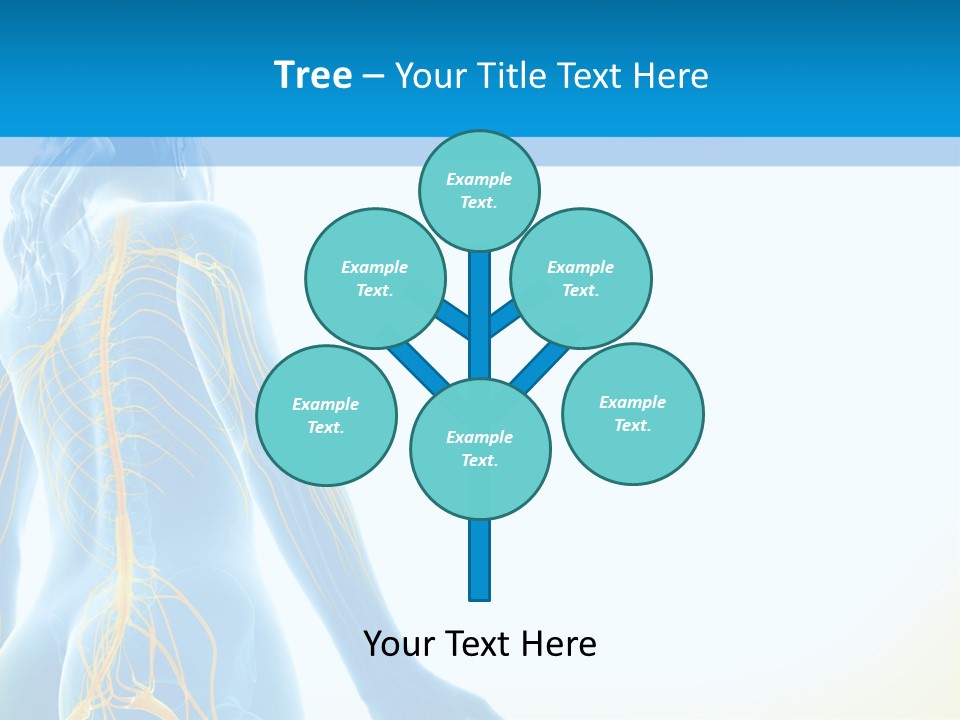 Digital Drawing Woman PowerPoint Template