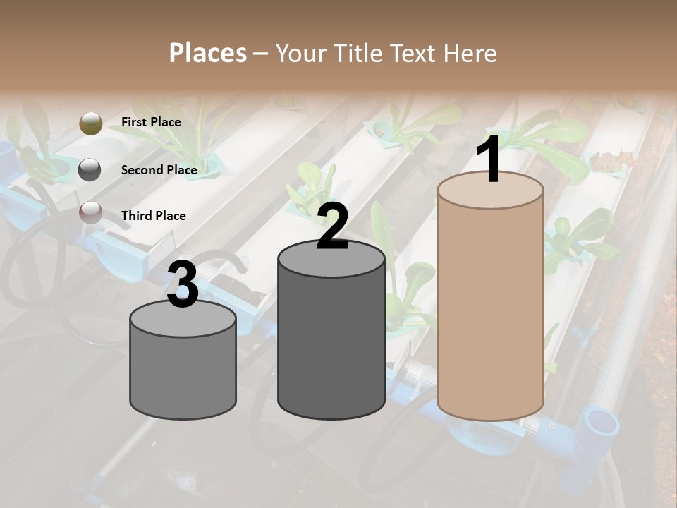 Toxic Vitamins Rural PowerPoint Template