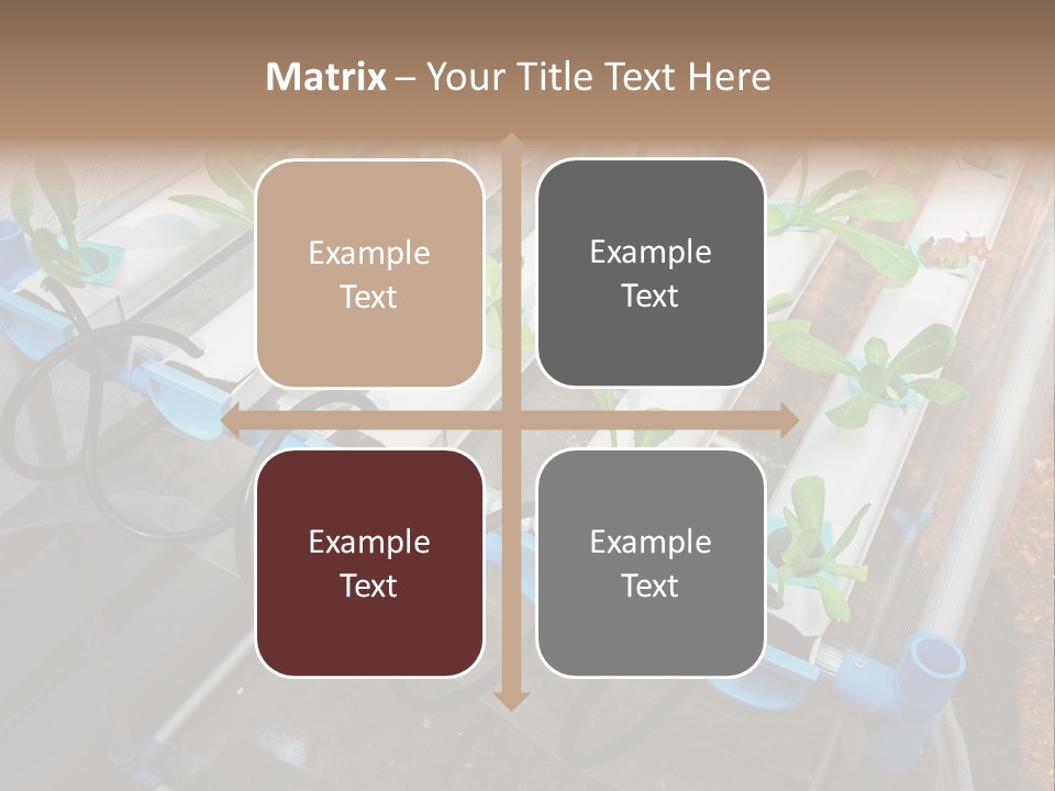 Toxic Vitamins Rural PowerPoint Template