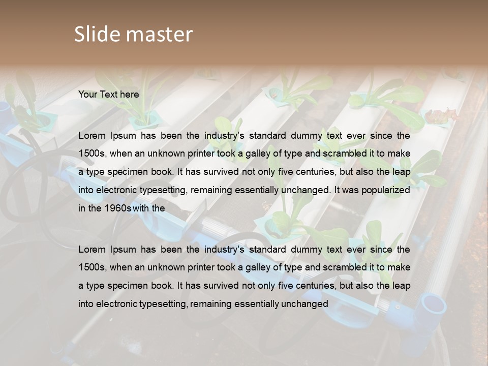 Toxic Vitamins Rural PowerPoint Template