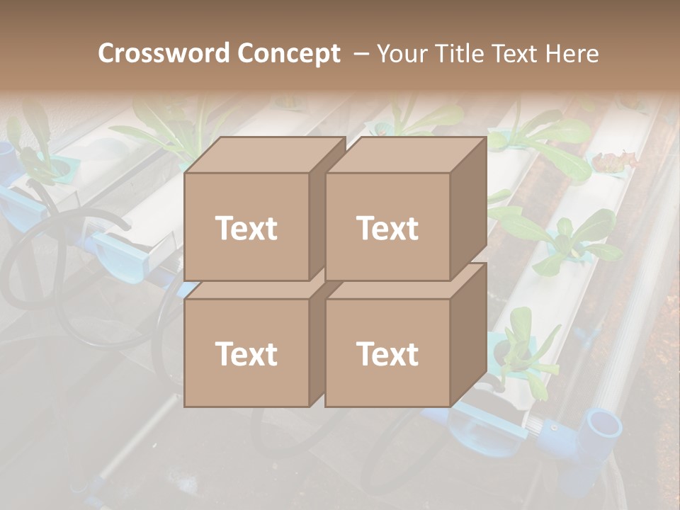 Toxic Vitamins Rural PowerPoint Template
