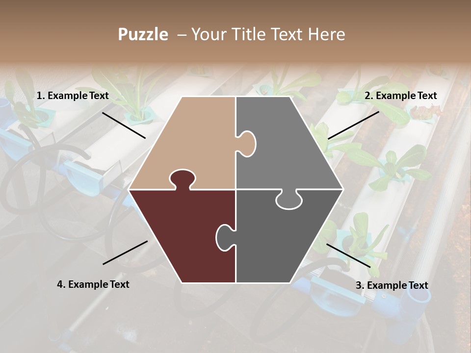 Toxic Vitamins Rural PowerPoint Template