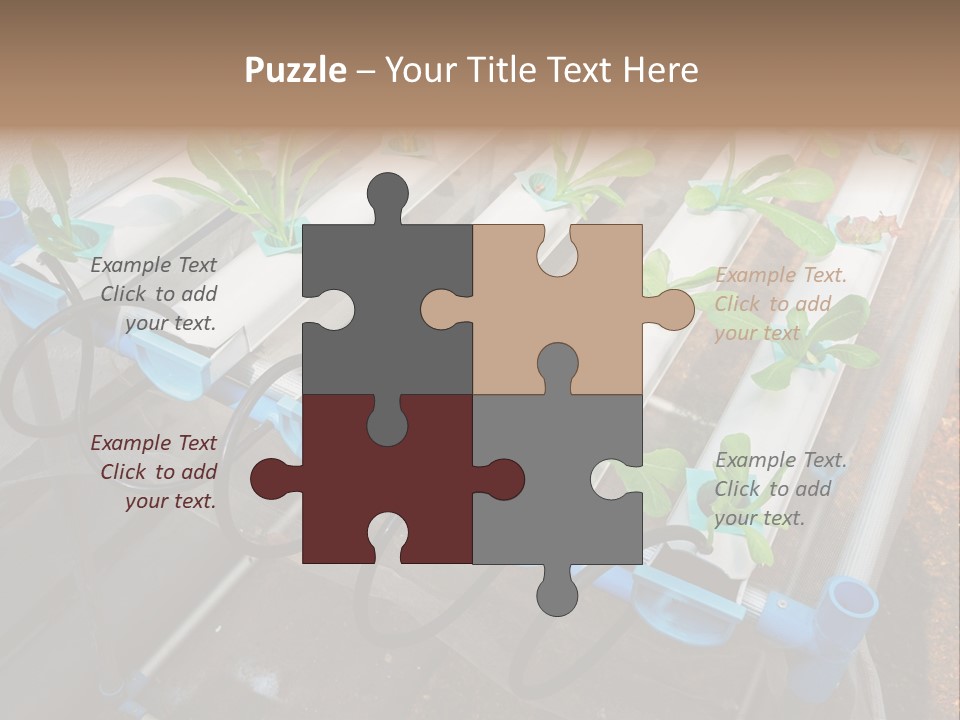 Toxic Vitamins Rural PowerPoint Template