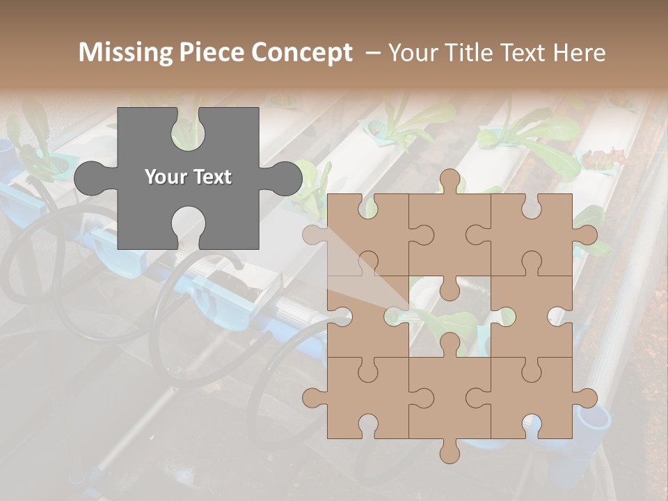 Toxic Vitamins Rural PowerPoint Template