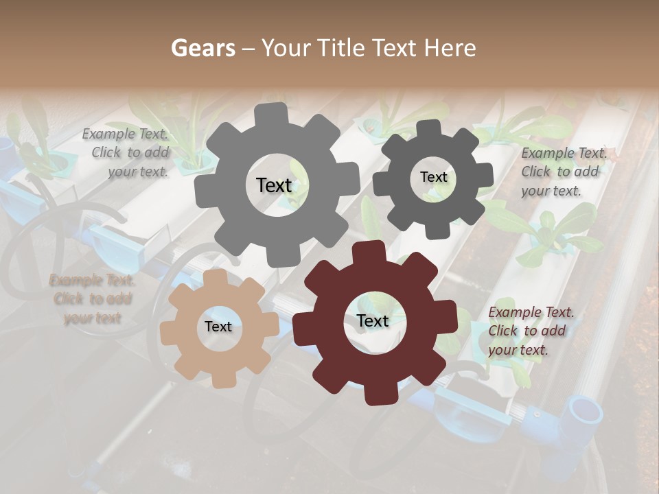 Toxic Vitamins Rural PowerPoint Template