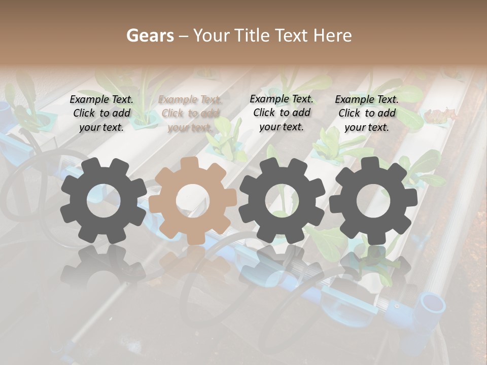 Toxic Vitamins Rural PowerPoint Template