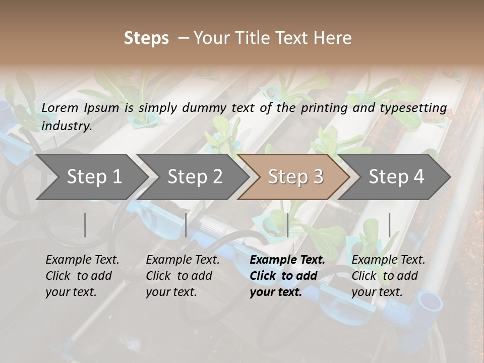 Toxic Vitamins Rural PowerPoint Template