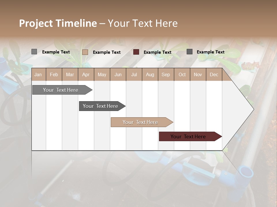 Toxic Vitamins Rural PowerPoint Template
