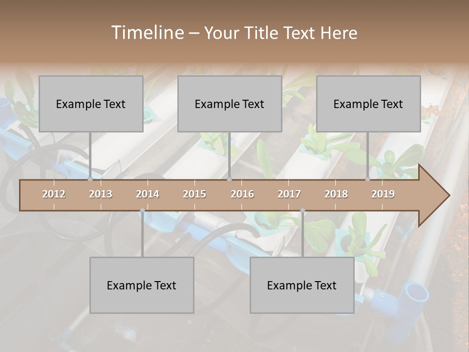 Toxic Vitamins Rural PowerPoint Template