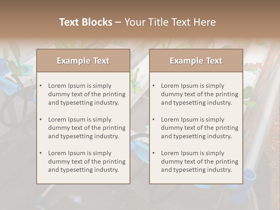 Toxic Vitamins Rural PowerPoint Template