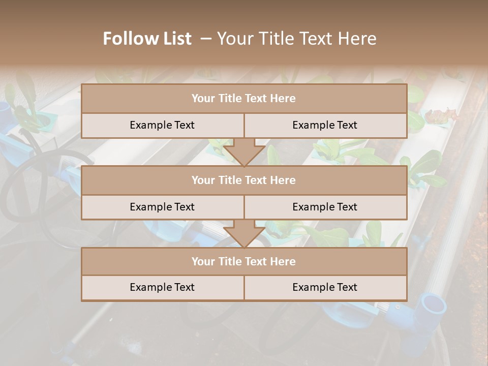 Toxic Vitamins Rural PowerPoint Template