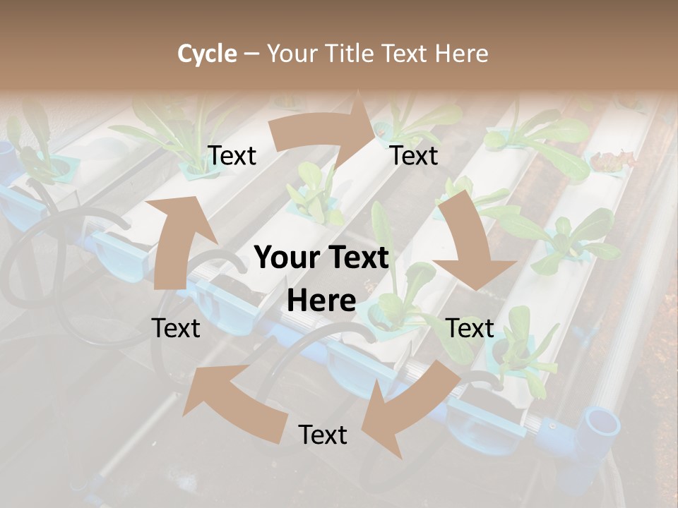 Toxic Vitamins Rural PowerPoint Template